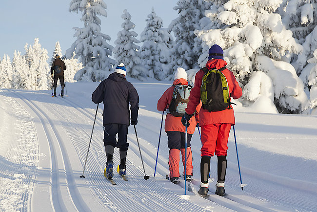 Langlauf im Bayerischen Wald